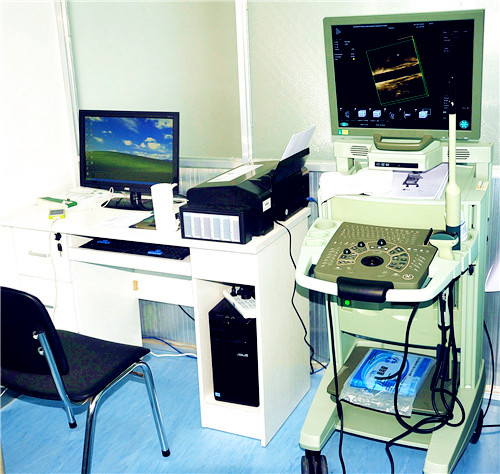丹麦360°直肠腔内超声检查系统